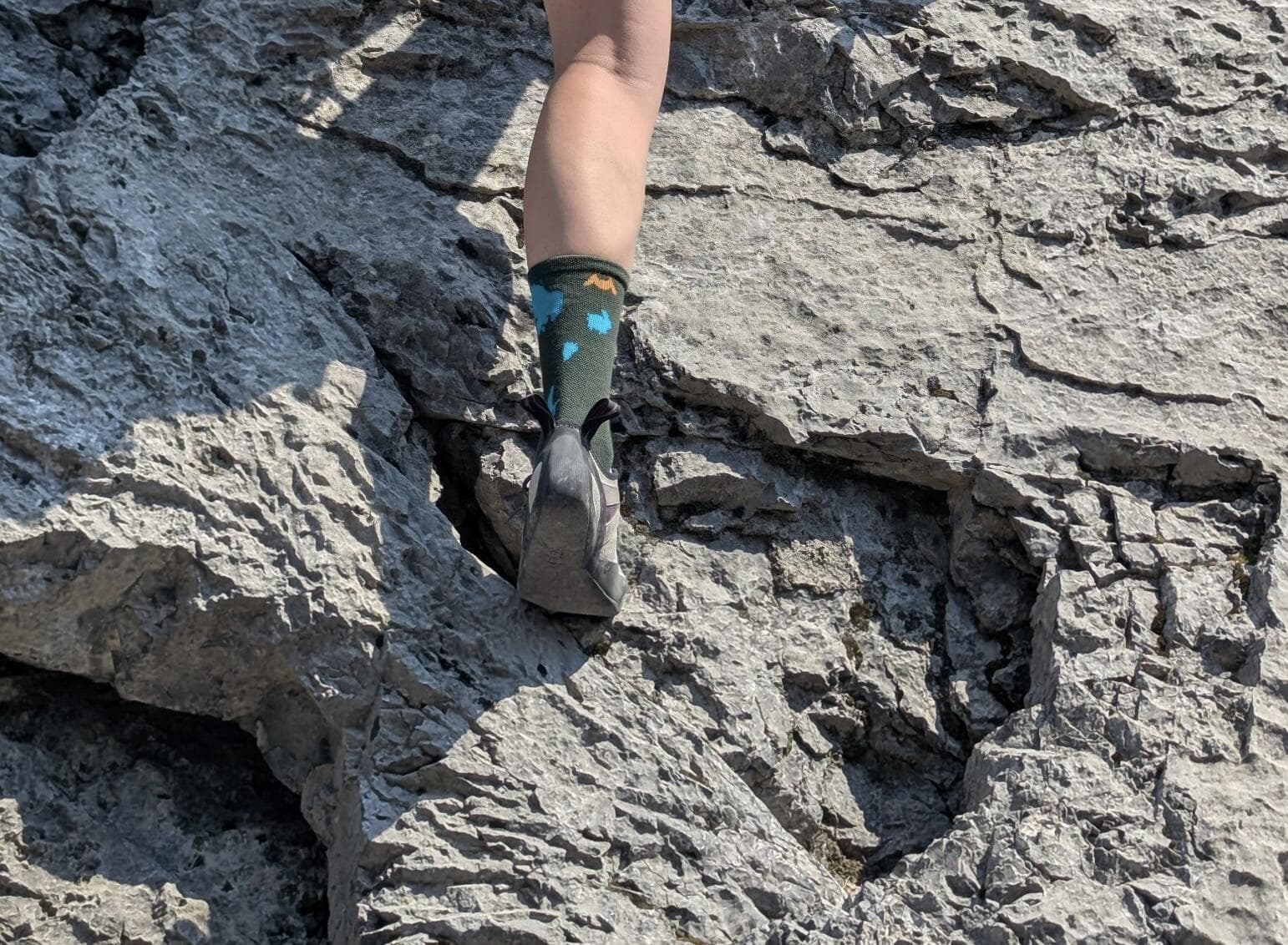 Customer photo from Isabelle Wiebe's review