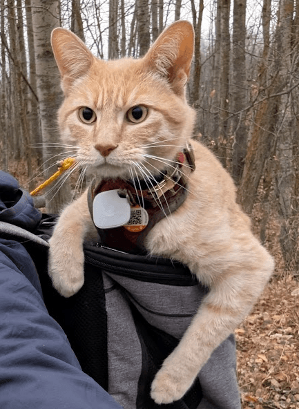 Jack, Chief Adventure Officer