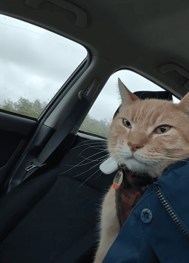 Road Trips with TRAKK