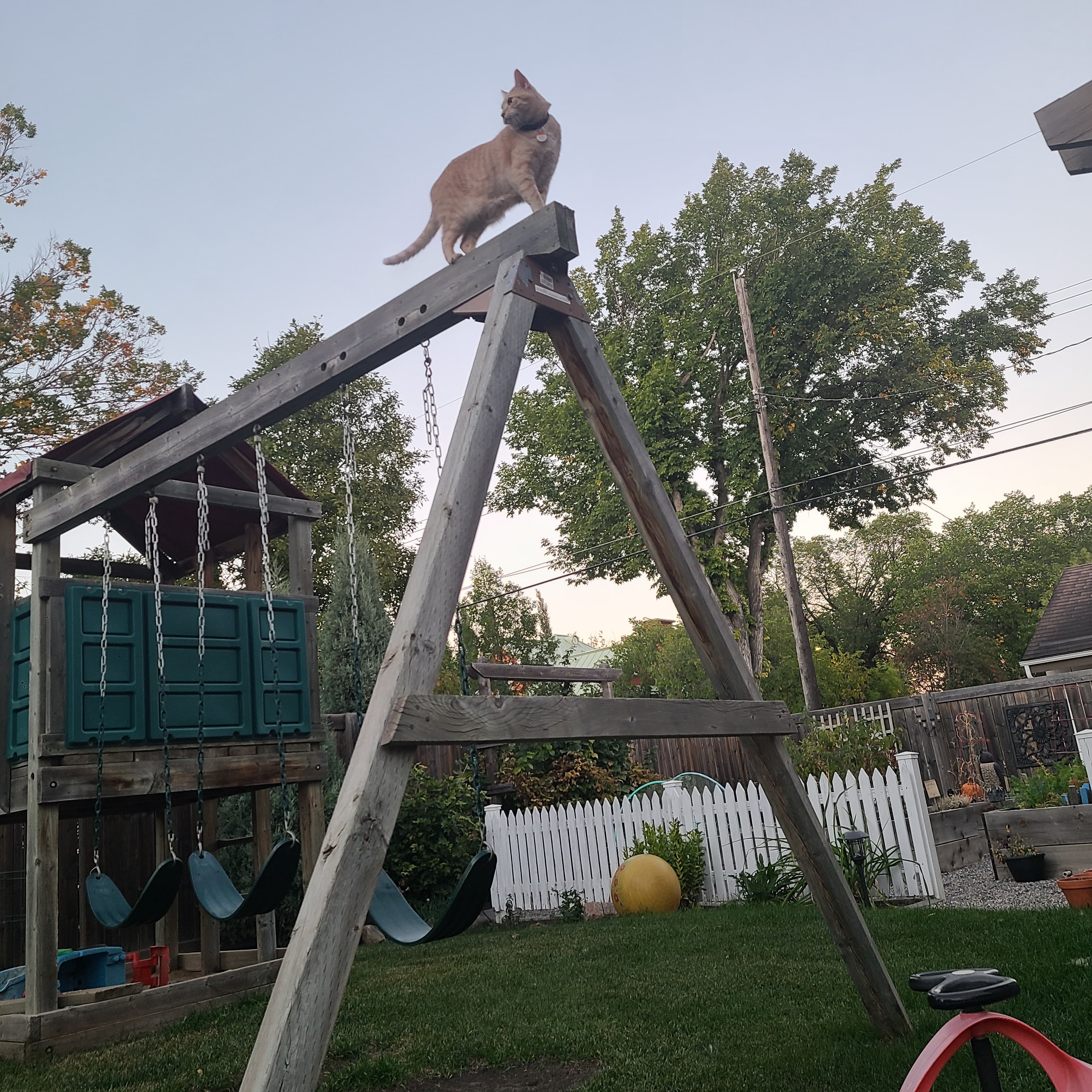 Everyday Adventure with TRAKK