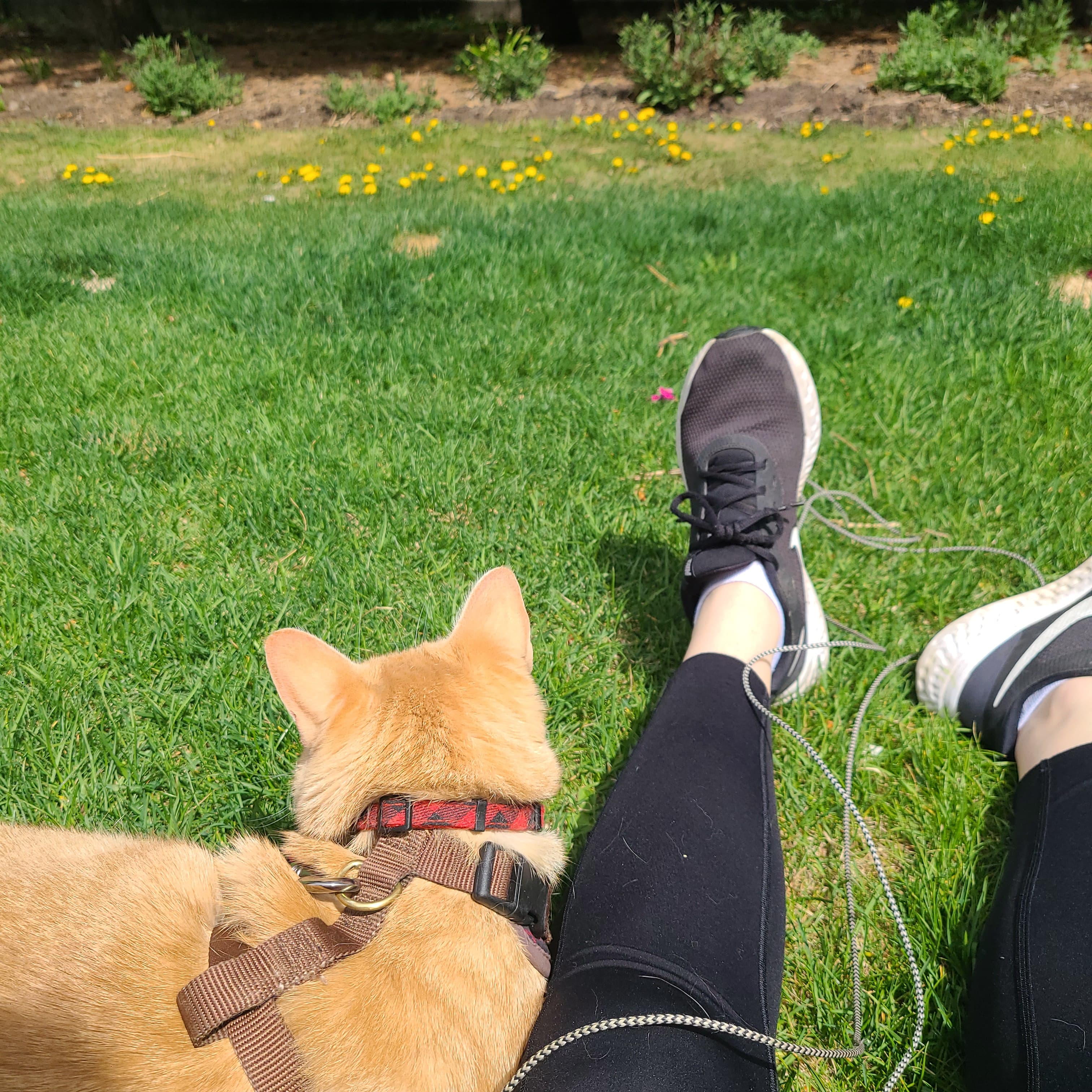 Outside Together